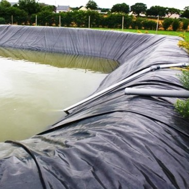 Feuille de revêtement de géomembrane HDPE imperméable, barrière contre les racines, pour l'isolation commerciale du toit et du jardin