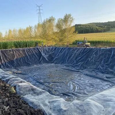 Revêtement dur de géomembrane de HDPE d'exploitation pour le barrage de résidus et le bassin de boue de déchets