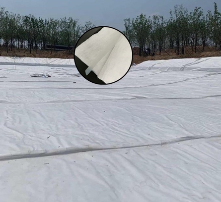 Non isolement composé de construction de tunnel du trafic de Geomembrane de textile tissé