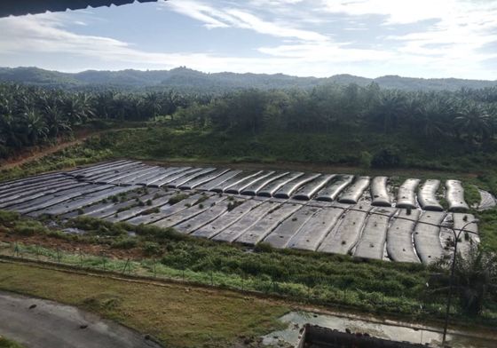 Excellents sacs filtrants résistants aux produits chimiques avec une circonférence de 12,6 m et 15,7 m Conçus pour la filtration de l'air industriel