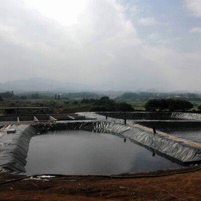 Résistant aux rayons UV 1,5 mm, revêtement de géomembrane en HDPE lisse pour les réservoirs d'irrigation agricoles