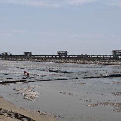 Tubes de déshydratation géotextile à haute perméabilité pour les projets de traitement des boues municipales