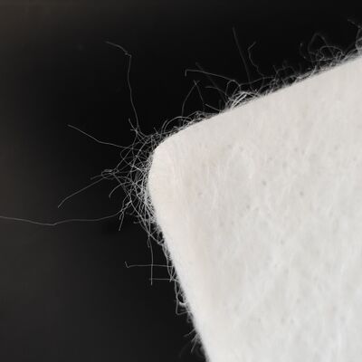Bonne Filtration Écologique 150g 200g 300g PET Fibre Longue Aiguilleté Non Tissé Géotextile pour Protection de Talus Côtier
