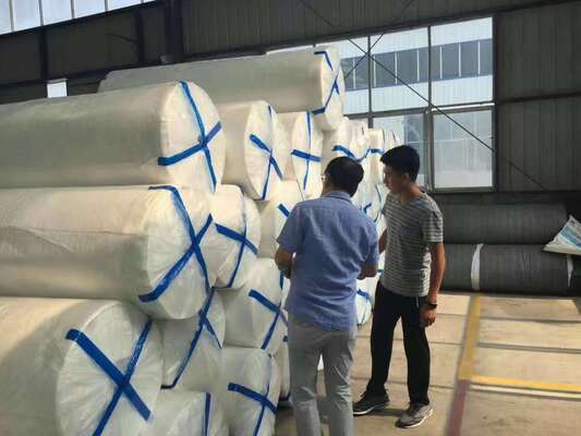 Géotextile non tissé en PET à résistance isotrope pour le renforcement multidirectionnel des sols