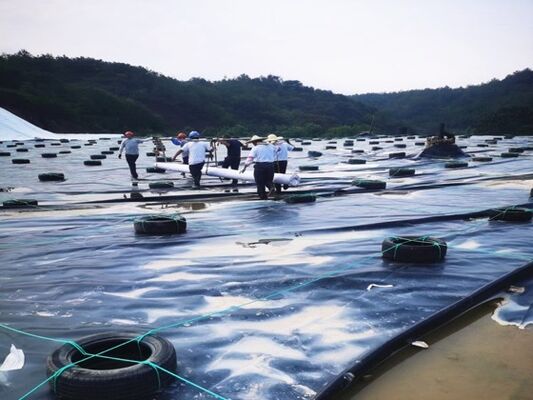1.5mm HDPE Geomembrane Liner avec une résistance chimique spécialisée pour les coussinets de lixiviation des tas miniers