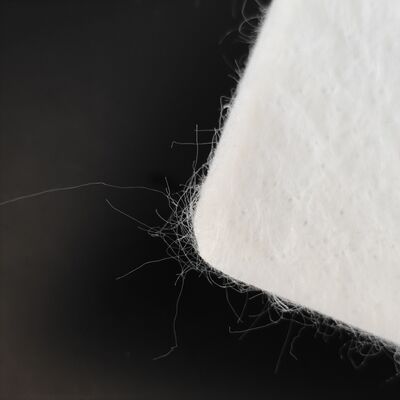 Géotextile non tissé à longue fibre pour les solutions de stabilité des infrastructures et des constructions