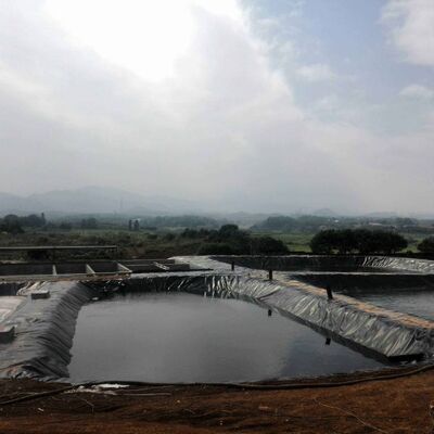 Liner géomembrané HDPE durable Liner d'étang de ferme agricole pour une reproduction aquacole sûre