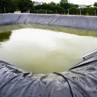 Liner géomembrané HDPE durable Liner d'étang de ferme agricole pour une reproduction aquacole sûre