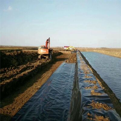 Revêtement de géomembrane HDPE sans danger pour les poissons pour réservoirs d'irrigation agricole d'étang