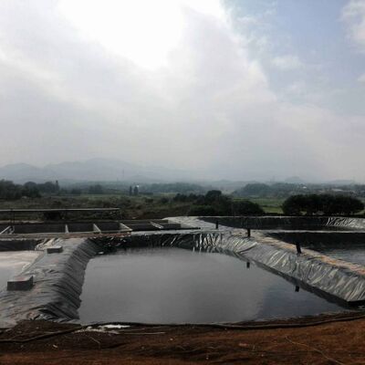 Revêtement de géomembrane HDPE sans danger pour les poissons pour réservoirs d'irrigation agricole d'étang