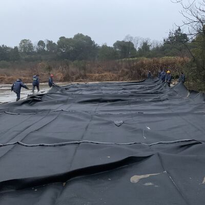 Tubes de asséchage géotextile tissés à haute résistance pour les projets de asséchage de boues industrielles
