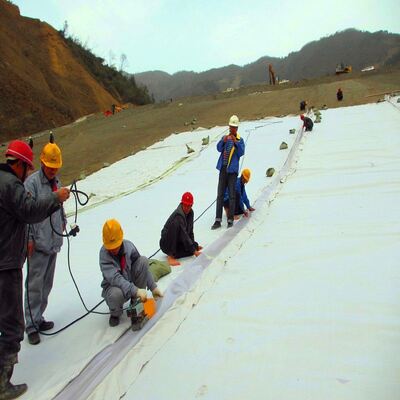 Underlayment non tissé perforé par aiguille de coussin de géotextile pour des revêtements d'étang