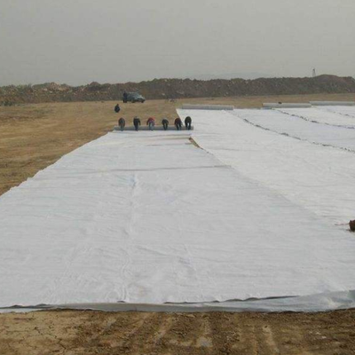 Underlayment non tissé perforé par aiguille de coussin de géotextile pour des revêtements d'étang