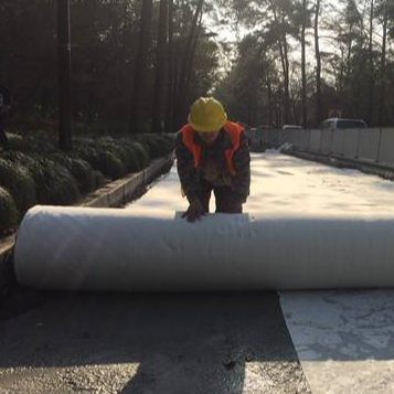 Underlayment non tissé perforé par aiguille de coussin de géotextile pour des revêtements d'étang