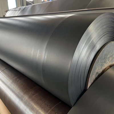 Feuille de revêtement de géomembrane HDPE imperméable, barrière contre les racines, pour l'isolation commerciale du toit et du jardin