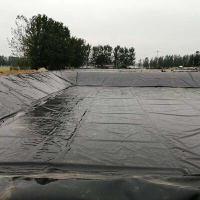 Revêtement géomembrane HDPE étanche aux gaz pour couverture de digesteur de biogaz agricole