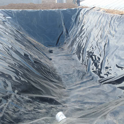Revêtement géomembrane HDPE étanche aux gaz pour couverture de digesteur de biogaz agricole