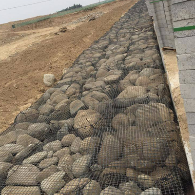 polyester Geogrid de Geogrid d'ANIMAL FAMILIER de 200m pour le modèle 3d Design 6m large des routes 3m