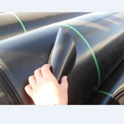 Antioxydant industriel anti-vieillissement du revêtement 6m 7m 8m de LDPE Geomembrane