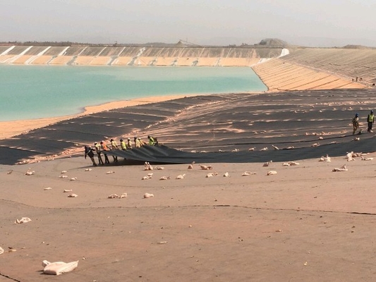 décharge d'exploitation de pisciculture du film ISO9001 de PVC Geomembrane de 1.5mm 2mm Plastik