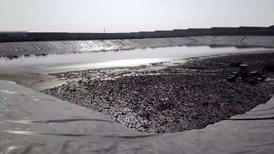 Force à haute résistance de revêtement anticorrosion de PVC Geomembrane 0.8mm 2mm