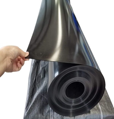 Résistance à la traction élevée HDPE Geomembrane Liner 0,1-3,0 mm d'épaisseur pour une protection ultime