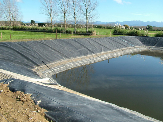 De texture lisse imperméable de HDPE infiltration composée rigide de LDPE Geomembrane d'anti