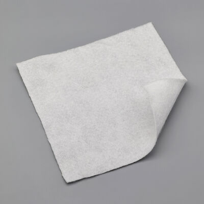 Géotextile non tissé en PP écologique à base de fibres de base pour la lutte contre l'érosion côtière